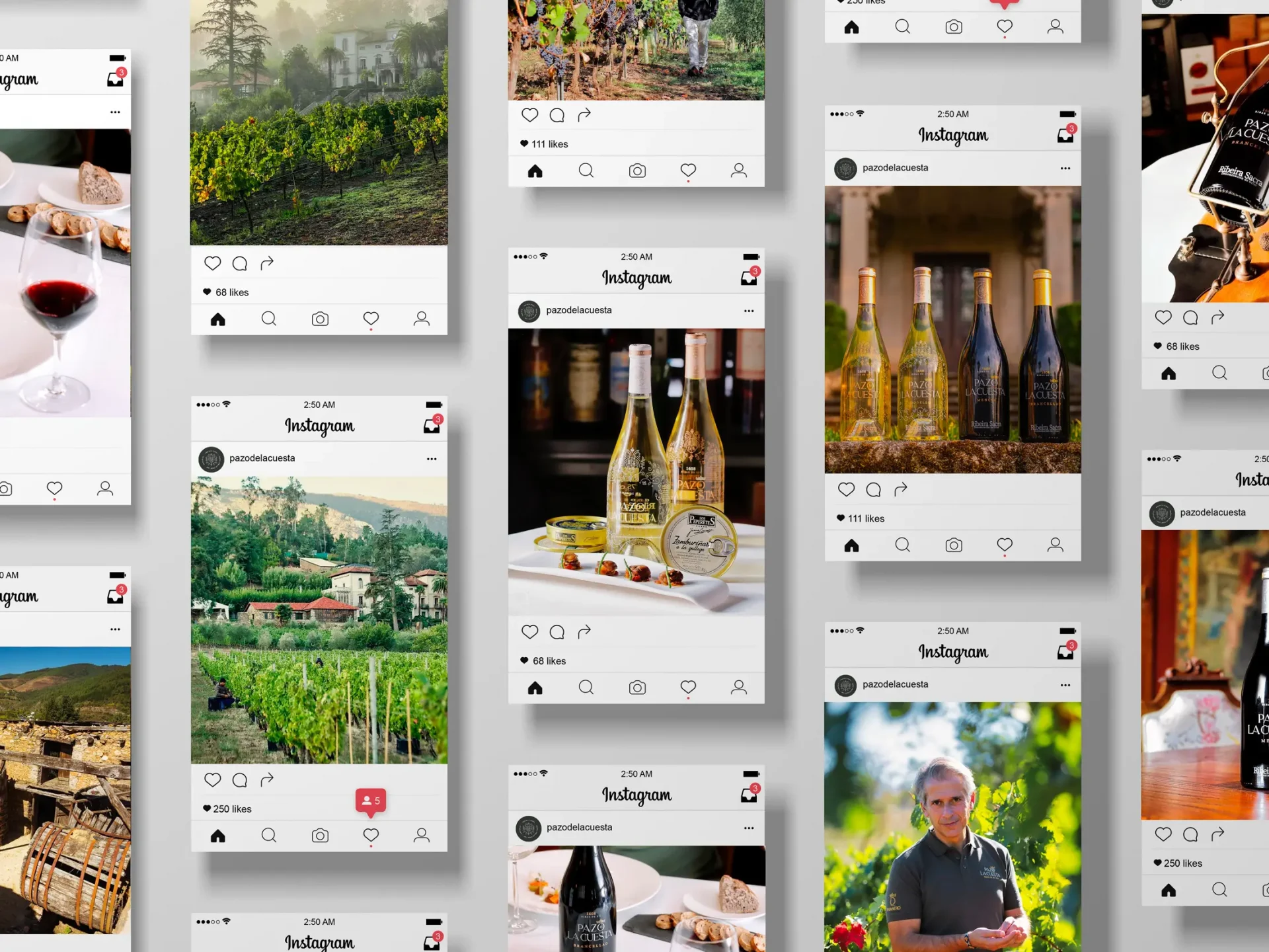 Imágenes de post diseñados para redes sociales de Pazo de la Cuesta