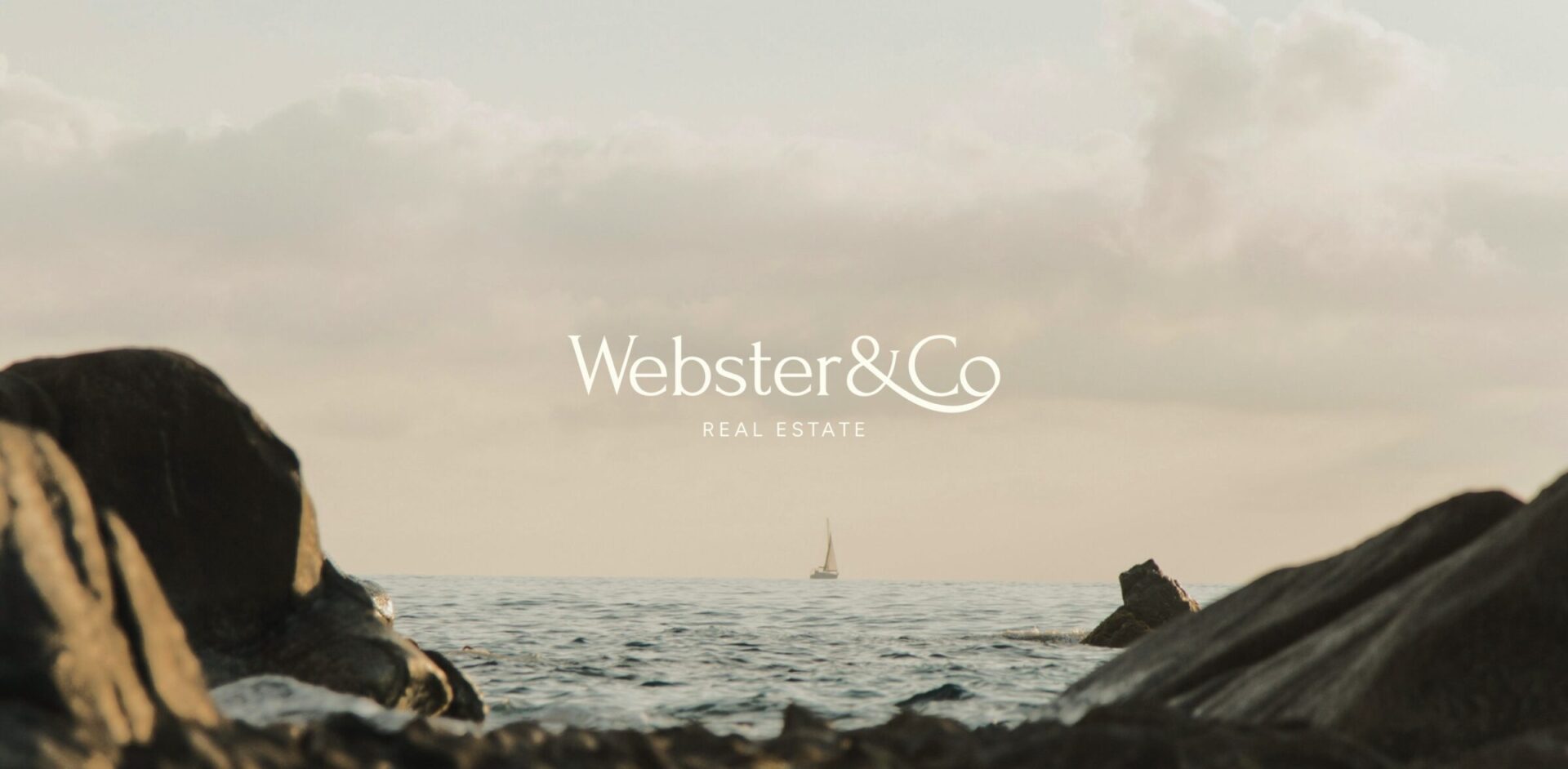Webster&Co | Imagen Portada caso de éxito Imagen - Webster&Co