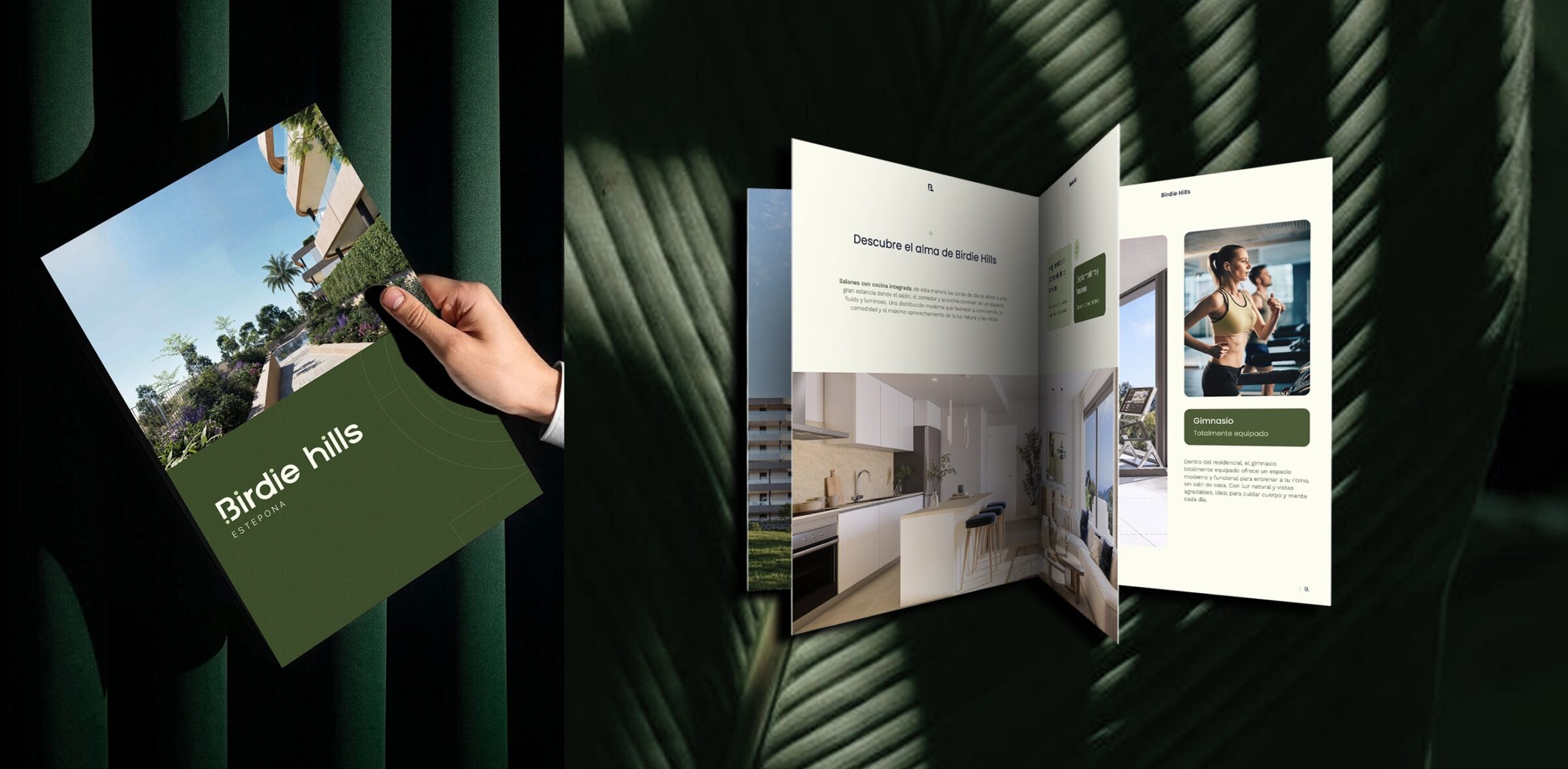 Casos de éxito agencia Imagen - dossier comercial Birdie Hills Estepona