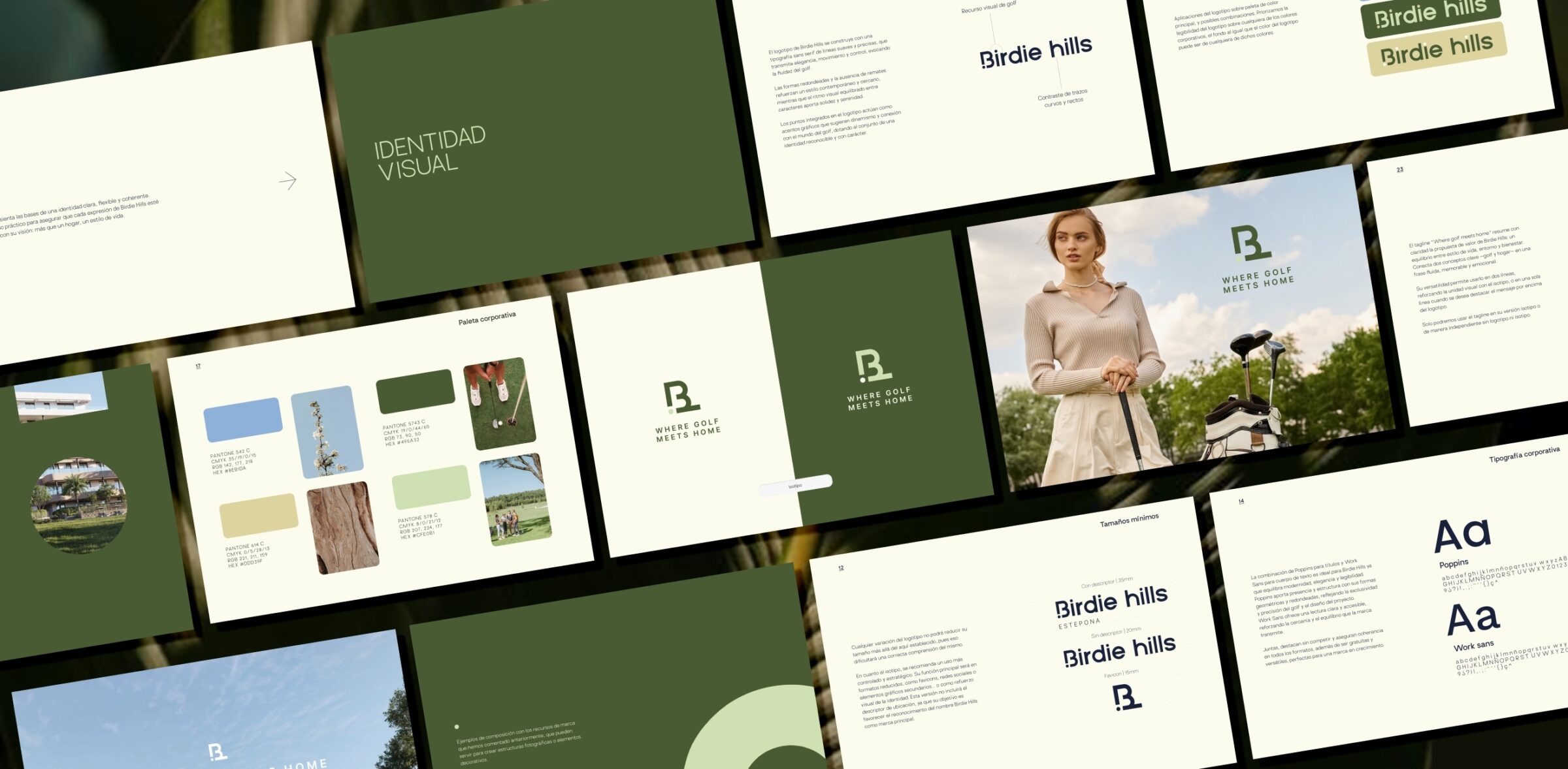 Casos de éxito agencia Imagen - Web Birdie Hills Estepona