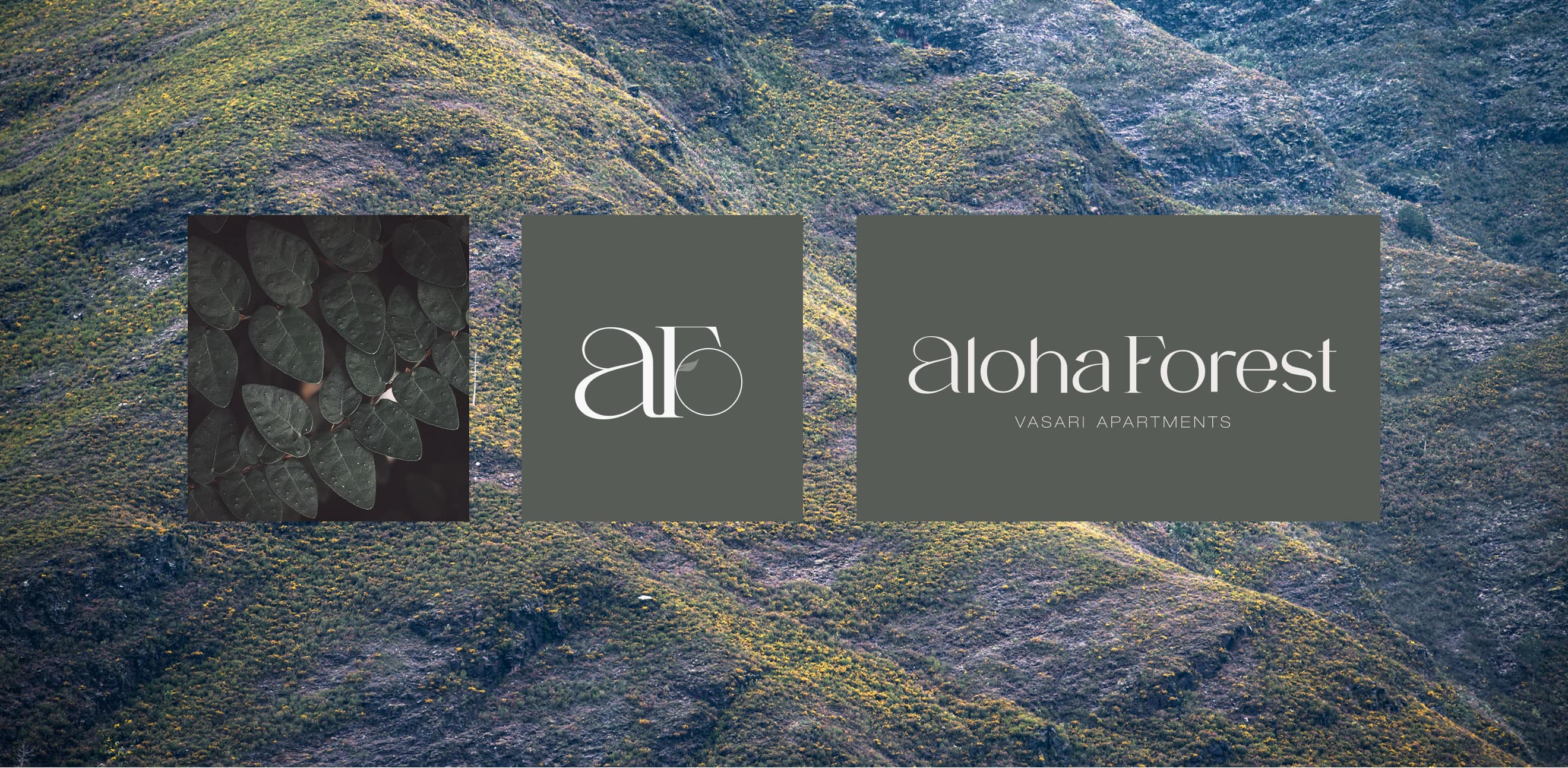 Aloha Forest
